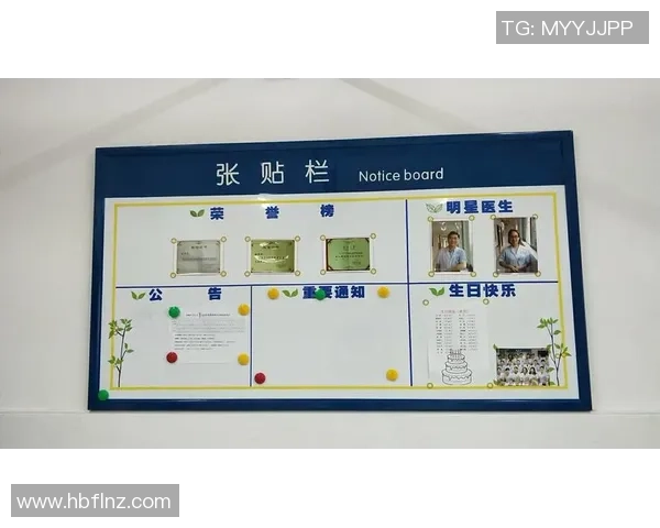 足球明星荣誉榜全景回顾与获奖历程详解